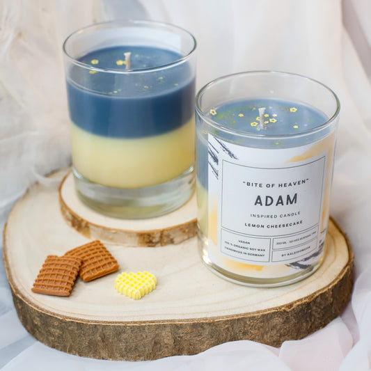 ADAM inspired candle - 'Bite of Heaven' Hazbin Hotel inspired soy candle 300 ML